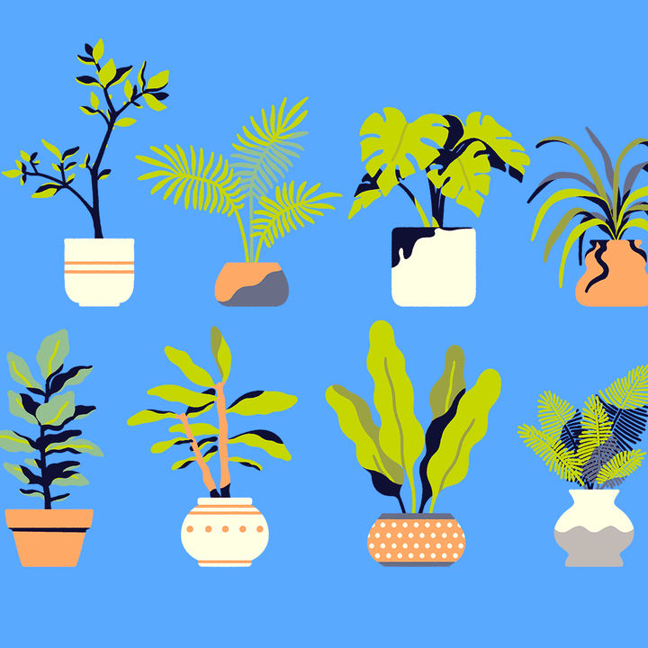 Wallpaper Pack 07